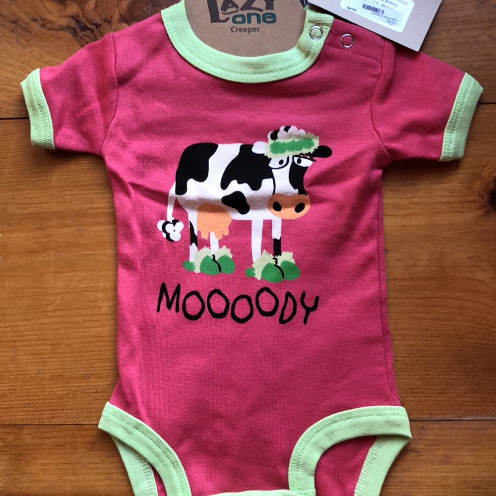 6 month old onesie